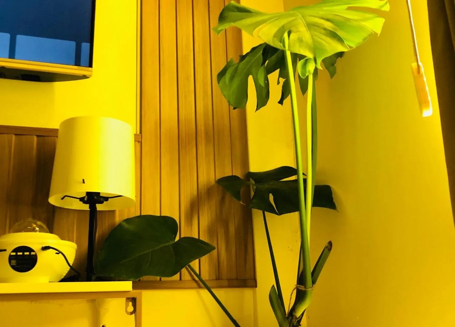 Casa de hóspedes Not Active Listing Hotel Manila Filipinas